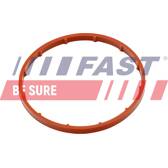 Gasket, vacuum pump FAST - FT50701