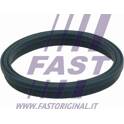 Guarnizione, Collettore aspirazione (x10) FAST - FT49407