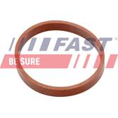 Guarnizione, Collettore aspirazione (x5) FAST - FT49418