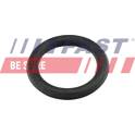 Guarnizione, Collettore aspirazione FAST - FT49419