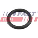 Guarnizione, Collettore aspirazione FAST - FT49420