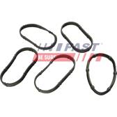 Guarnizione, Collettore aspirazione (x10) FAST - FT49456