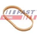 Guarnizione, Collettore aspirazione (x5) FAST - FT49461