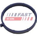 Guarnizione, Collettore aspirazione (x100) FAST - FT49467