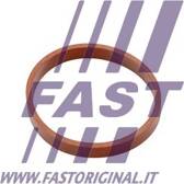 Joint d'étanchéité (collecteur d'admission) (x5) FAST - FT49418