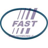 Joint d'étanchéité (pompe à carburant) FAST - FT48504