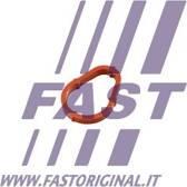 Joint (pompe à vide) FAST - FT50702