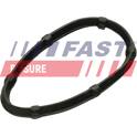 Junta, colector de escape (x10) FAST - FT49457