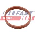 Pakking, inlaatspruitstuk (x5) FAST - FT49418