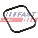Pakking, inlaatspruitstuk FAST - FT49421