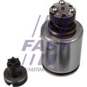 Piston (étrier de frein) FAST - FT32269