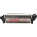 Radiador de aire de admisión FAST - FT55596