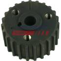 Roda dentada, veio de equilíbrio FAST - FT45606