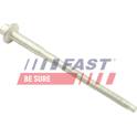 Schraube, Einspritzventilhalter FAST - FT51604