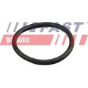Seal Ring FAST - FT49919