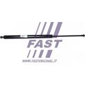Vérin de vitre arrière FAST - FT94828
