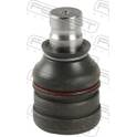 Fuseekogel FEBEST - 0420-D21