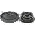 Suspension (amortisseur) FEBEST - CHSS-T300F