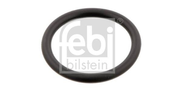 Seal Ring, coolant tube (x2)