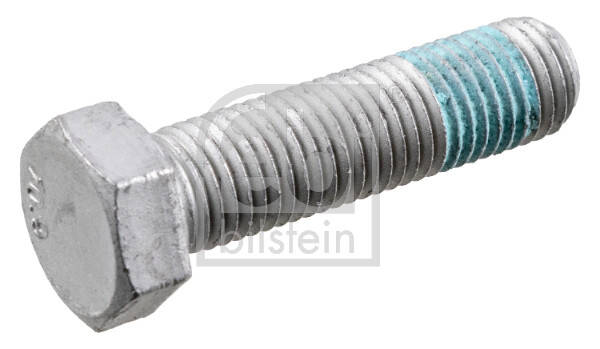 Bolt, brake caliper