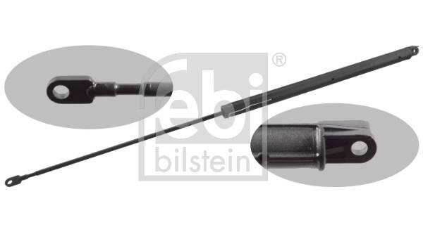 Bonnet gas struts