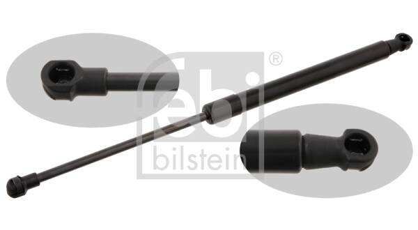 Bonnet gas struts