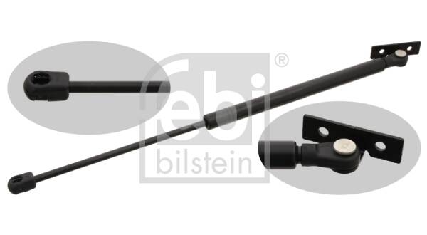 Bonnet gas struts