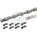 Camshaft Kit FEBI BILSTEIN - 24549