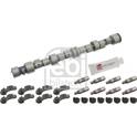 Camshaft Kit FEBI BILSTEIN - 24550