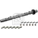 Camshaft Kit FEBI BILSTEIN - 29916
