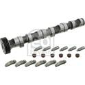 Camshaft Kit FEBI BILSTEIN - 29922