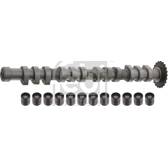 Camshaft Kit FEBI BILSTEIN - 33198