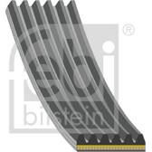Cinghia Poly-V FEBI BILSTEIN - 183219