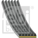 Cinghia Poly-V FEBI BILSTEIN - 184927