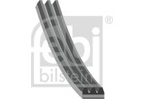 Cinghia Poly-V