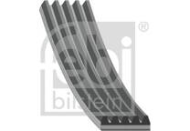 7PK1035 CONTITECH Cinghia Poly-V AUTODOC