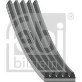 Courroie d'accessoire FEBI BILSTEIN - 28855