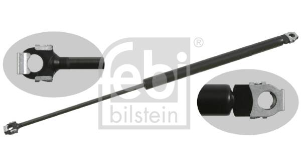 Bonnet gas struts