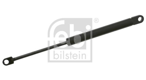 Bonnet gas struts