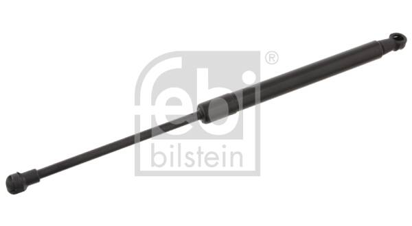 Bonnet gas struts