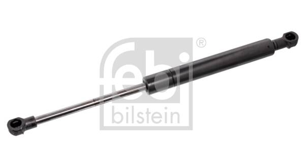 Bonnet gas struts