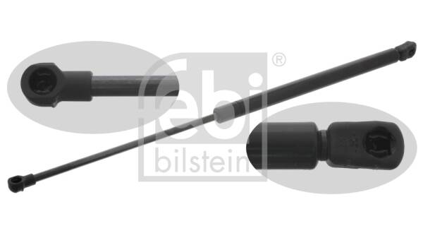 Bonnet gas struts