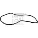 Guarnizione, Lunotto post. FEBI BILSTEIN - 08889