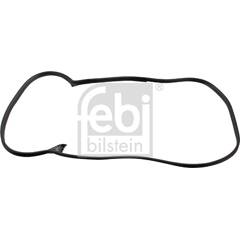 Febi Bilstein 176471 Joint De Porte - Compatible Renault Trafic, Opel Vivaro, Nissan Primastar