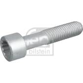 Parafuso, flange de veio de transmissão (x100) FEBI BILSTEIN - 09455