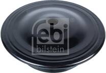 Patin de ressort