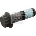 Svänghjulsbult (x12) FEBI BILSTEIN - 103694