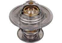 Thermostat, coolant