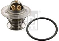 Thermostat, coolant