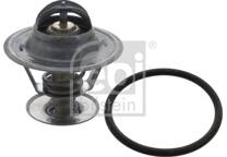 Thermostat, coolant